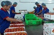 Nông sản bị cạnh tranh mạnh ở Hàn Quốc 